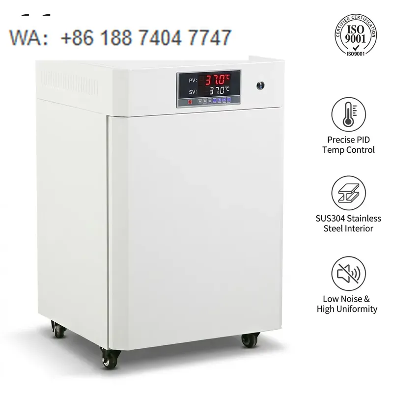 Incubator Co2 Lab - Incubatore per colture cellulari a CO2