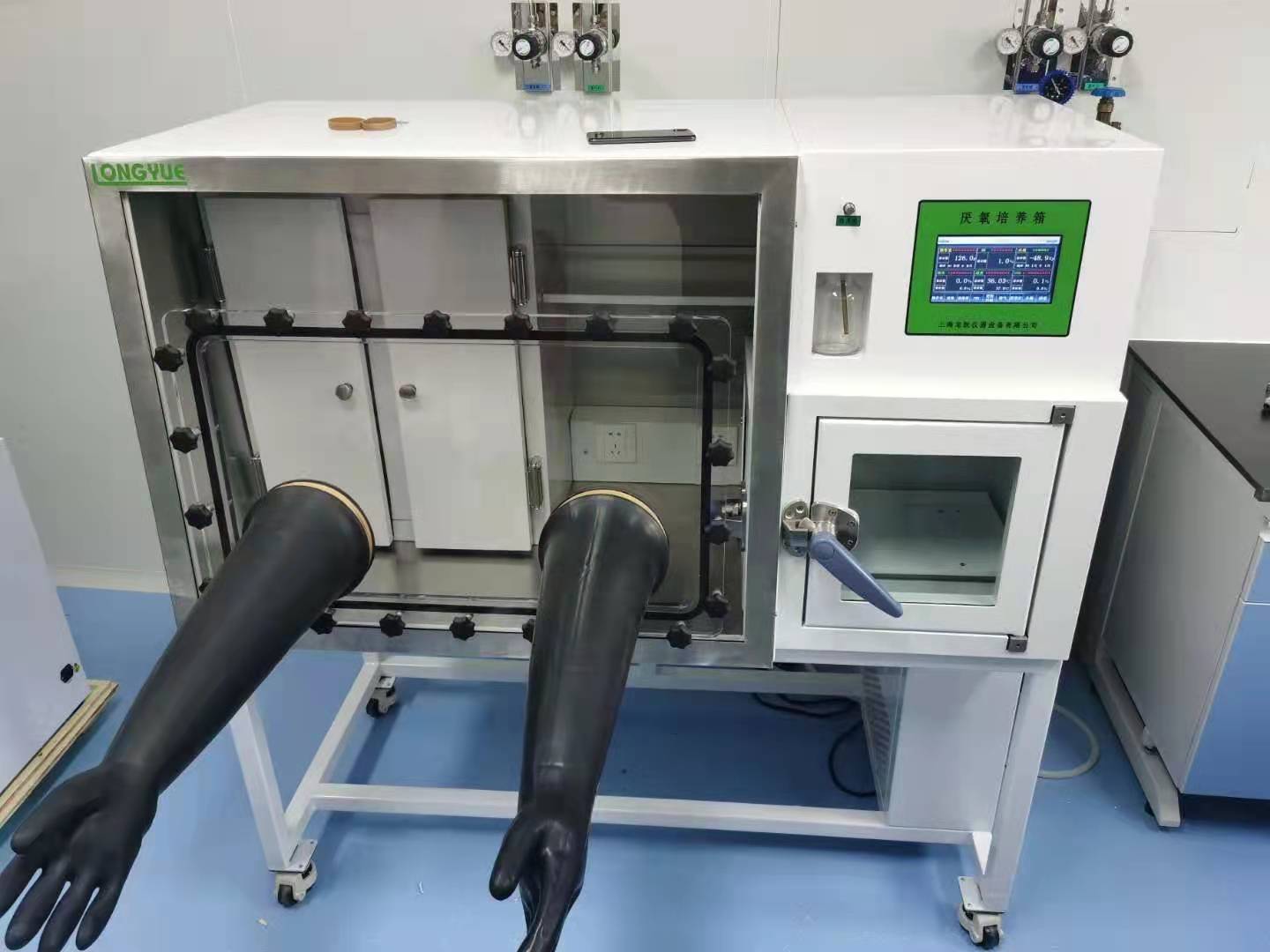 Stazione di Lavoro Anaerobica  - Incubator Co2 Lab recensione e prezzo