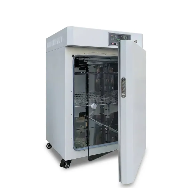 Incubatore per colture cellula - Incubator Co2 Lab recensione e prezzo
