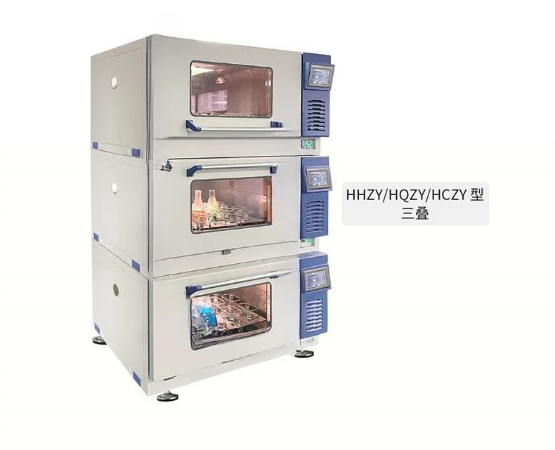 Incubatore a temperatura costa - Incubator Co2 Lab recensione e prezzo