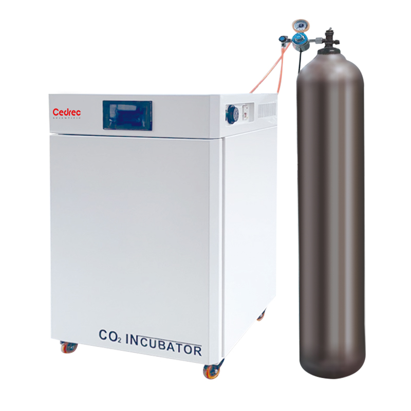 Incubatore CO2 di Alta Qualità - Incubator Co2 Lab recensione e prezzo