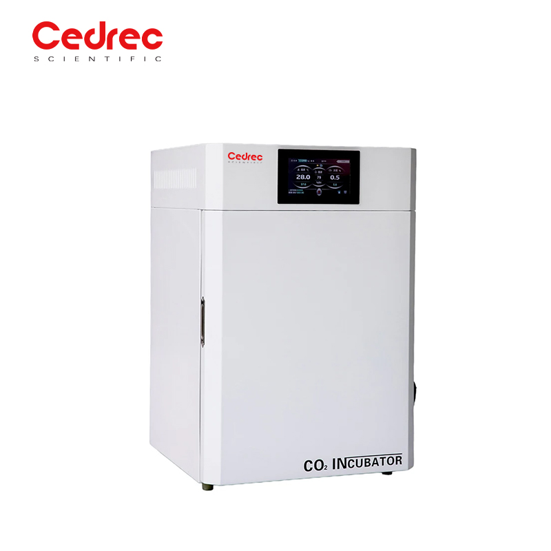 Incubatore a temperatura costa - Incubator Co2 Lab recensione e prezzo