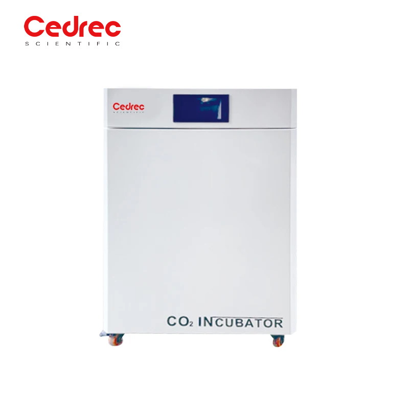 Incubatore a temperatura costa - Incubator Co2 Lab recensione e prezzo