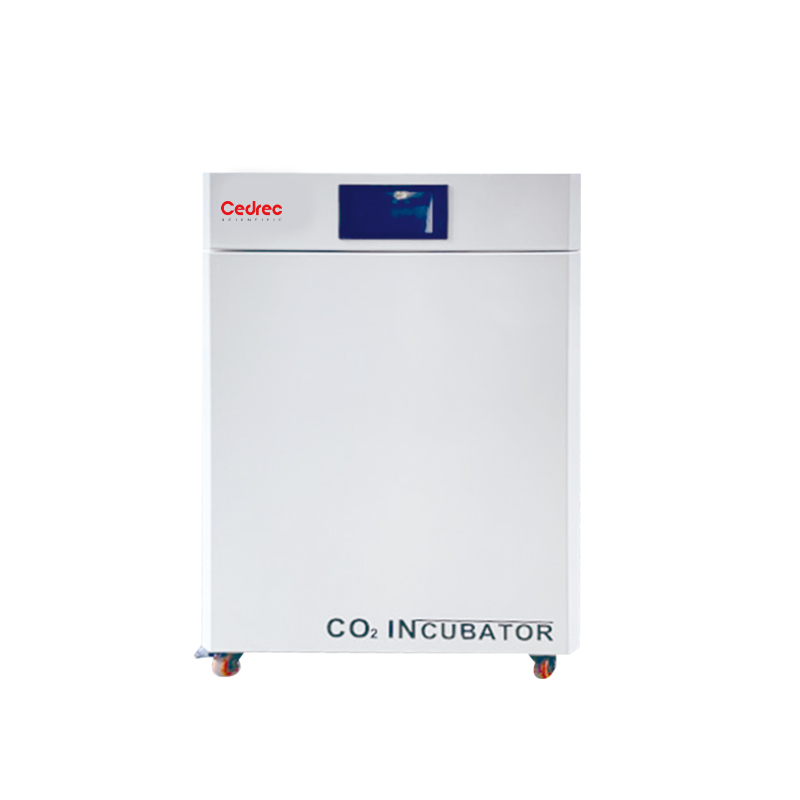 Incubatore a temperatura costa - Incubator Co2 Lab recensione e prezzo