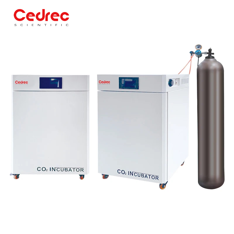 Incubatore a temperatura costa - Incubator Co2 Lab recensione e prezzo