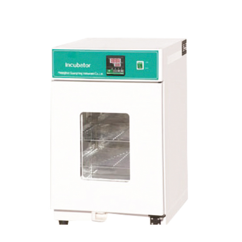 Incubatore Microbiologico a CO - Incubator Co2 Lab recensione e prezzo
