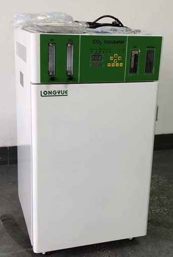 Incubatore CO2 WJ-2-50 per Lab - Incubator Co2 Lab recensione e prezzo