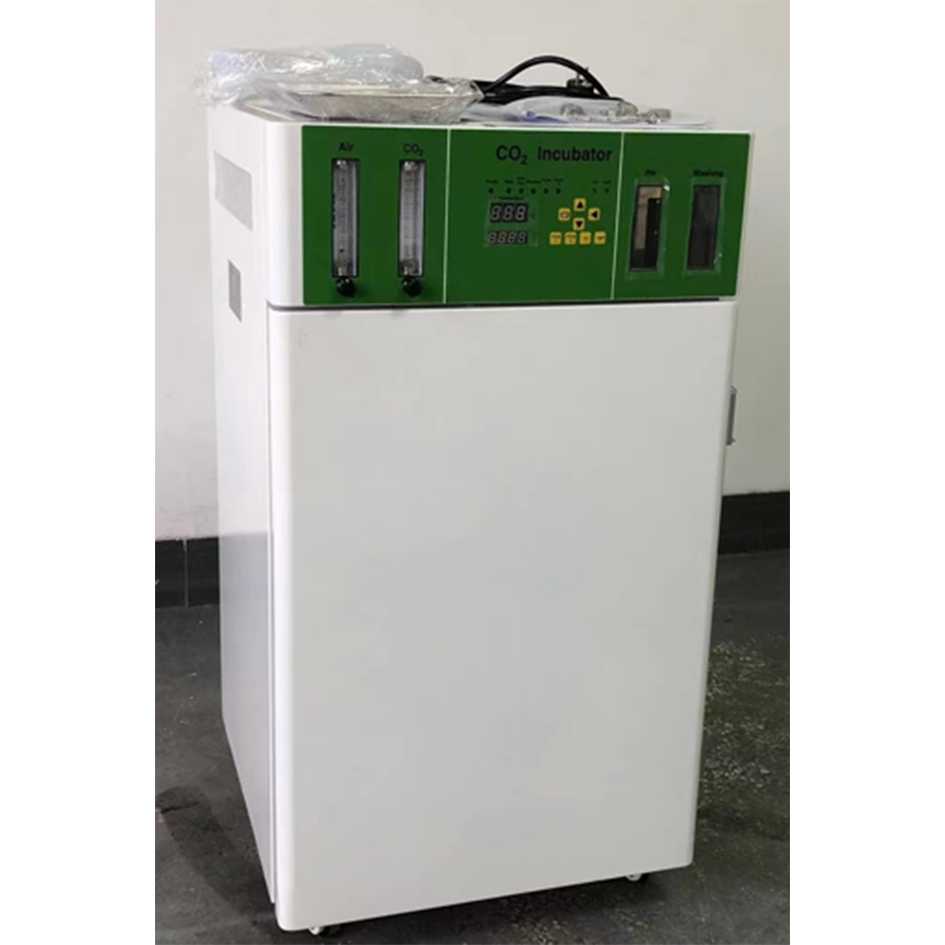 Incubatore CO2 WJ-2-50 per Lab - Incubator Co2 Lab recensione e prezzo