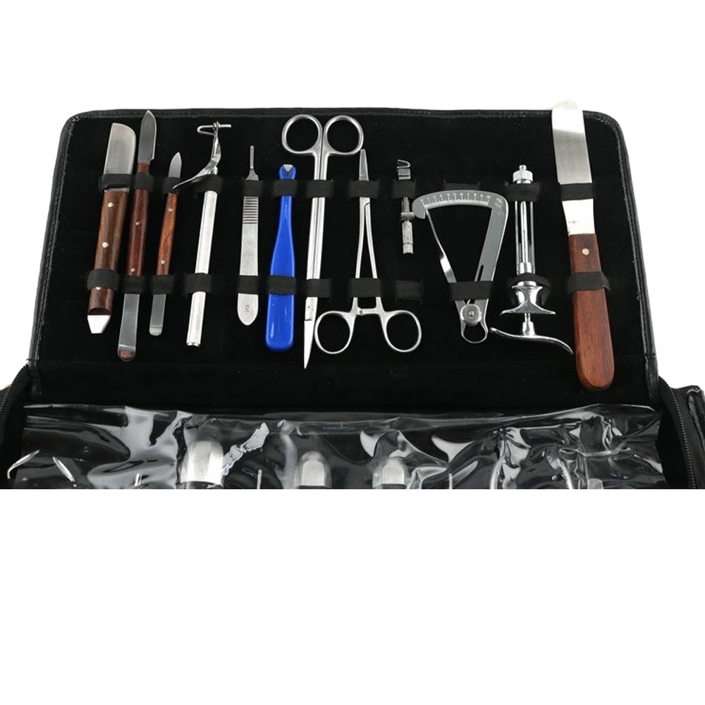 Set di Strumenti Ortodontici D - Surgical Instrument Set recensione e prezzo