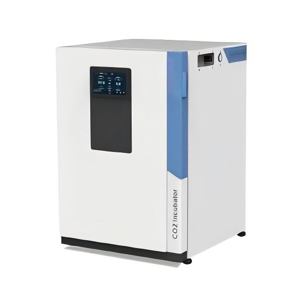 BS-WJ-160T 220V Incubatore da  - Incubator Co2 Lab recensione e prezzo